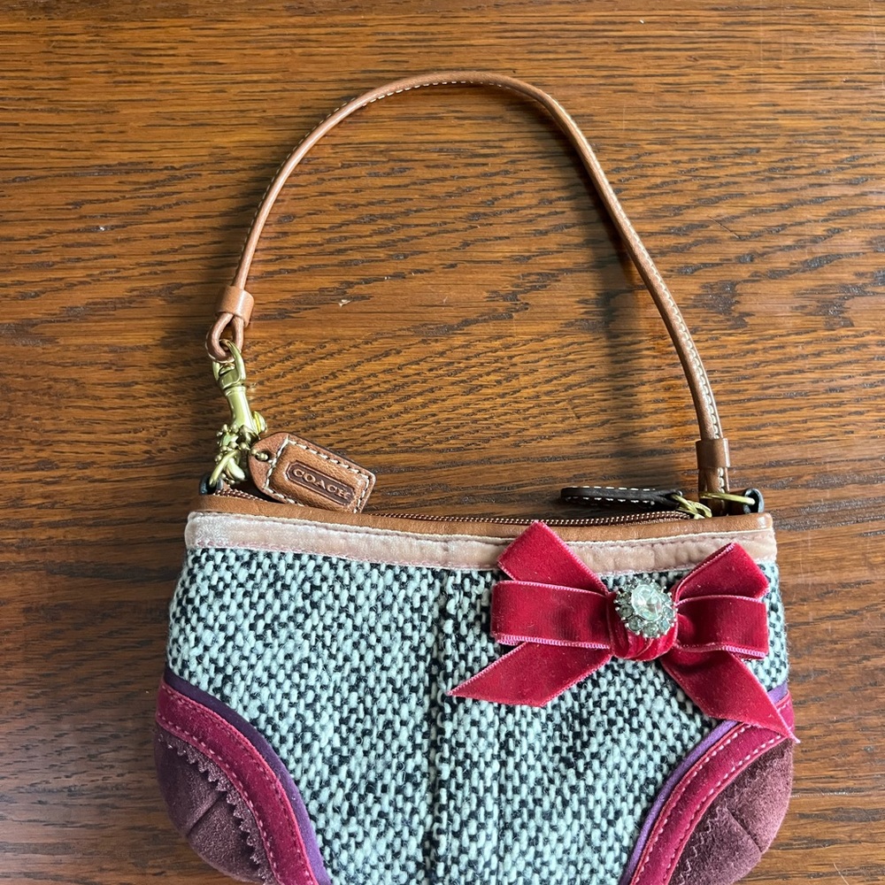 Cute little Coach bag